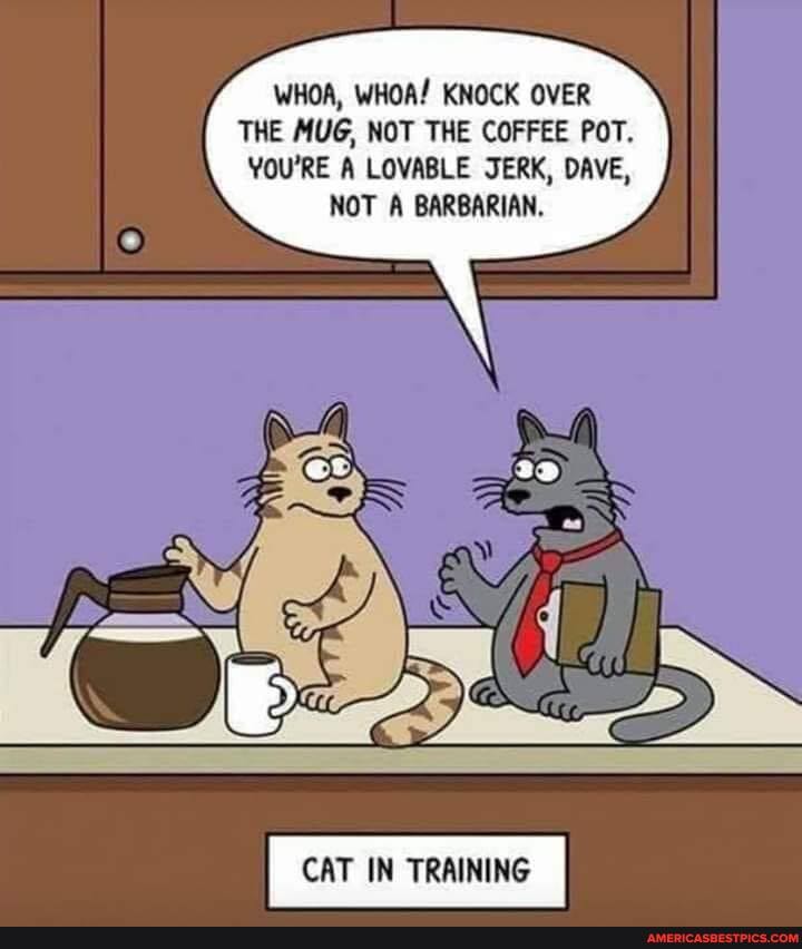 WHOA, WHOA/ KNOCK OVER THE MUG, NOT THE COFFEE POT.
YOU'RE A LOVABLE JERK, DAVE,
NOT A BARBARIAN.
CAT IN TRAINING