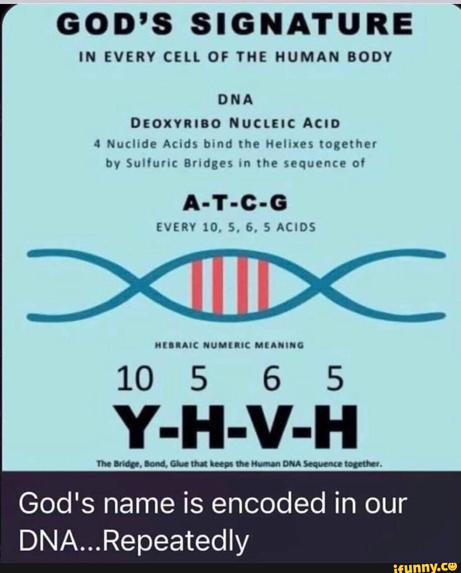 GOD'S SIGNATURE IN EVERY CELL OF THE HUMAN BODY DNA DEOXYRIBO NUCLEIC