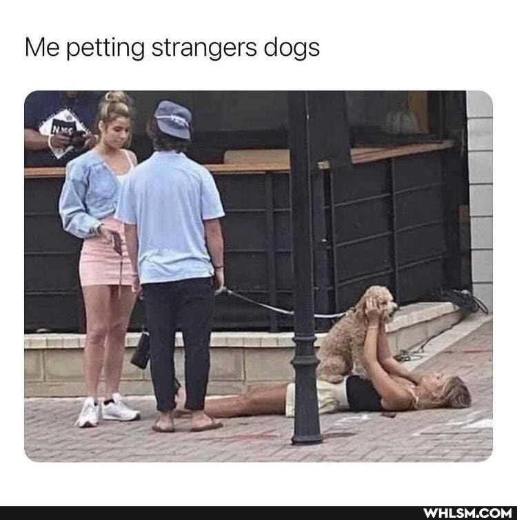 Me petting strangers dogs