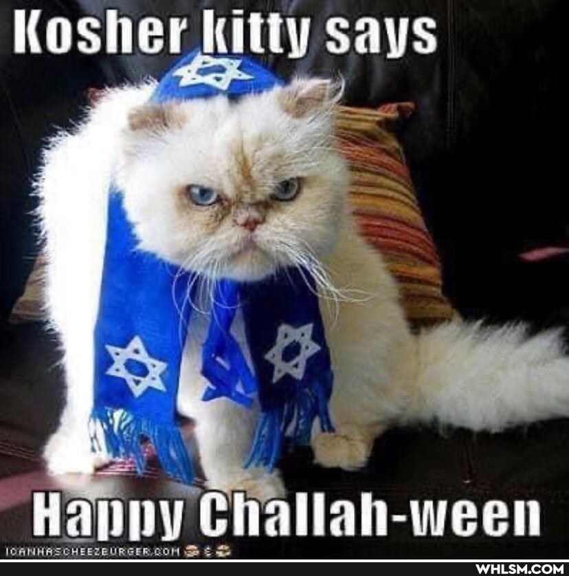 Kosher kitty says
Happy Challah-ween
