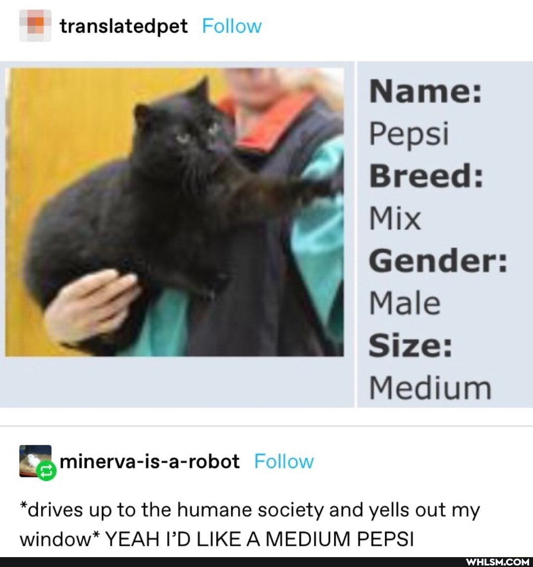 translatedpet Follow
Name:
Pepsi
Breed:
Mix
Gender:
Male
Size:
Medium
Follow
minerva-is-a-robot
*drives up to the humane society and yells out my window* YEAH I'D LIKE A MEDIUM PEPSI