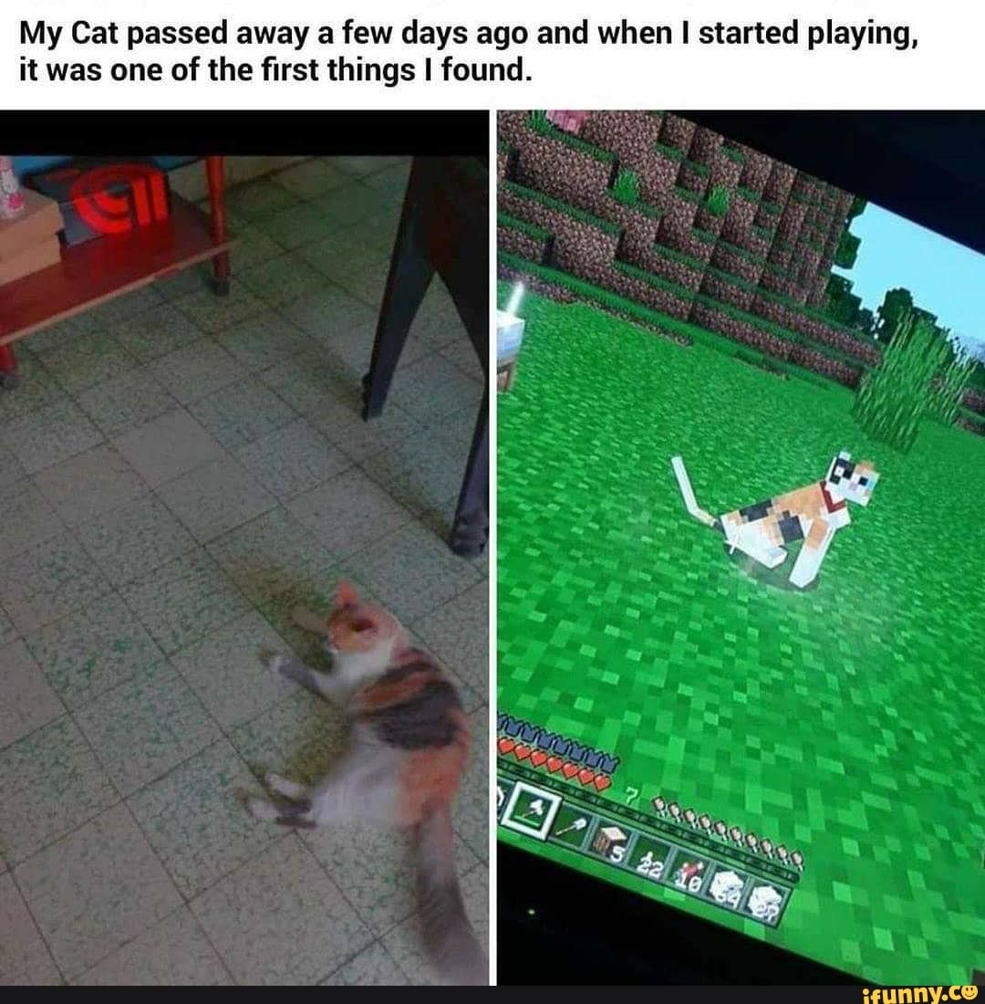 My Cat passed away a few days ago and when I started playing,
it was one of the first things I found.