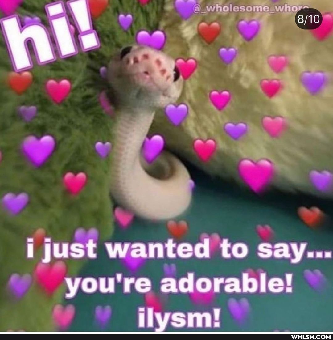 i just wanted to say...
you re adorable!
ilvsm!