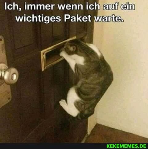 Ich, immer wenn ich auf ein wichtiges Paket warte.