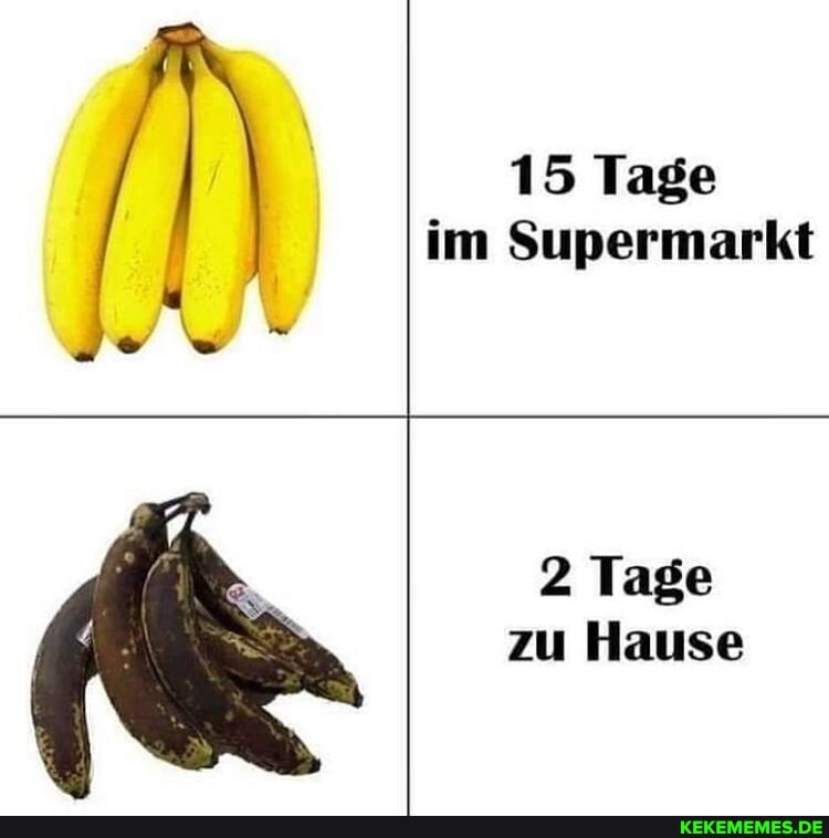 15 Tage im Supermarkt
2 Tage zu Hause