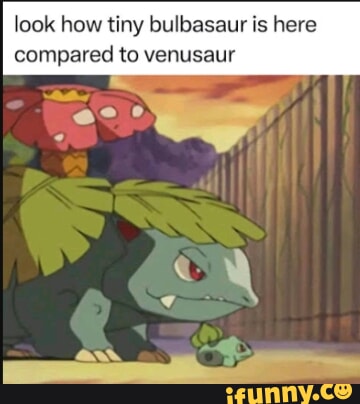 Bulbasaur memes. Best Collection of funny Bulbasaur pictures on iFunny