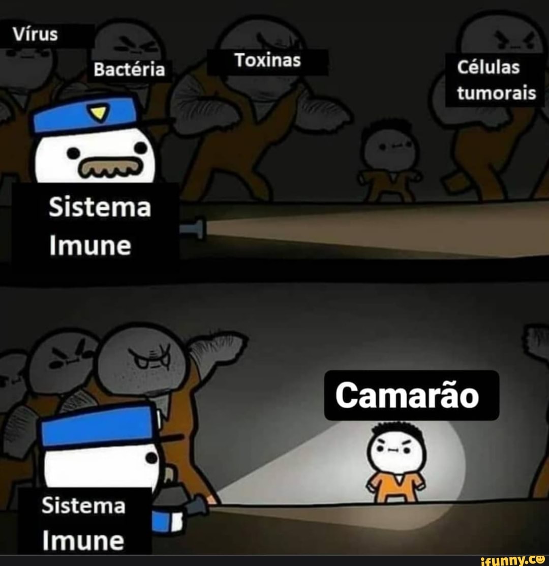 Vírus
Bactéria Toxinas Células tumorais
Sistema
Imune
Camarão
Sistema
Imune