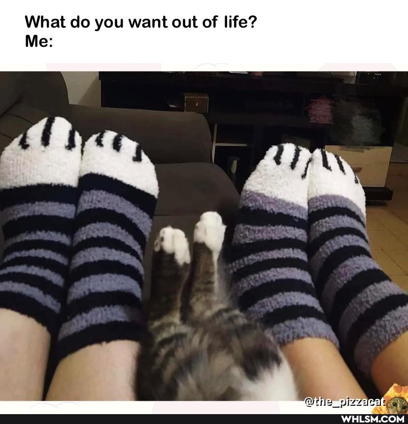 What do you want out of life?
Me: