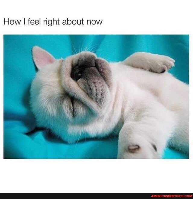 How I I feel right about now
