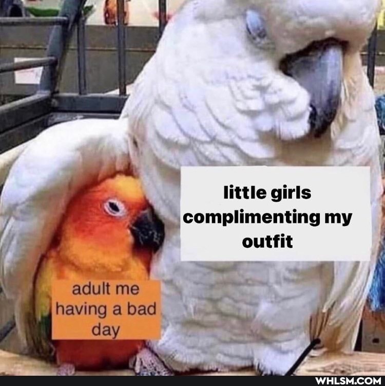 little girls complimenting my outfit
adult me
having bad da