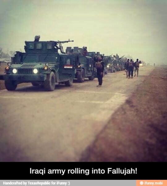 Iraqi army rolling into Fallujah! - Iraqi army rolling into Fallujah!