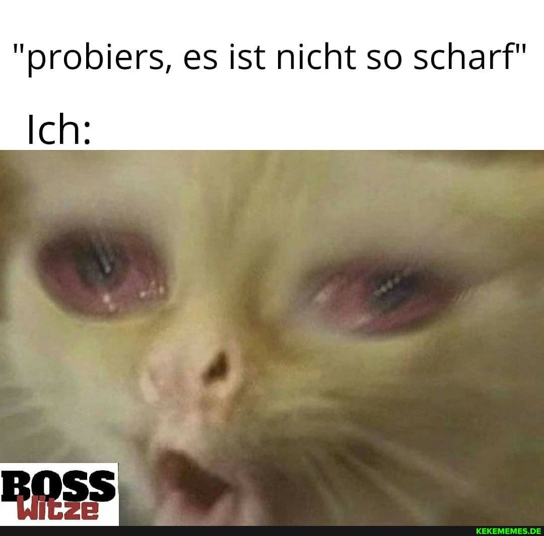 "probiers, es ist nicht so scharf"
Ich: