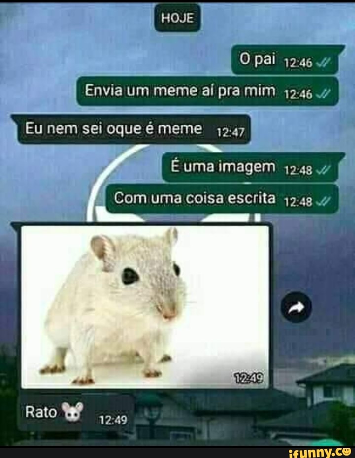 HOJE
pai
Envia um meme aí pra mim .4 I
Eu nem sei oque é meme, 1247
uma imagem
Com uma coisa escrita
Rato