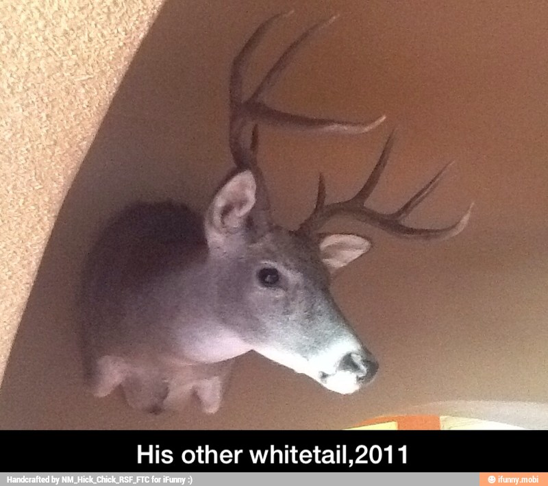 His other whitetail,2011 - His other whitetail,2011