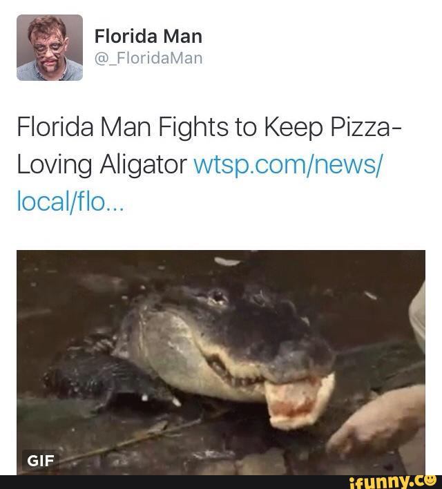 Florida Man Fights to Keep Pizza- Loving Aligator vvtsp.com/nevvs/ - )