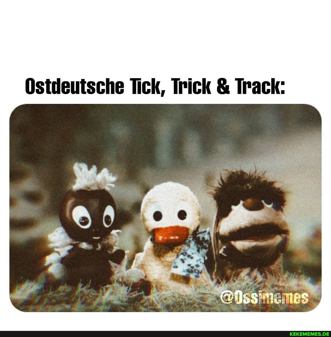 Ostdeutsche Tick, Trick & Track: