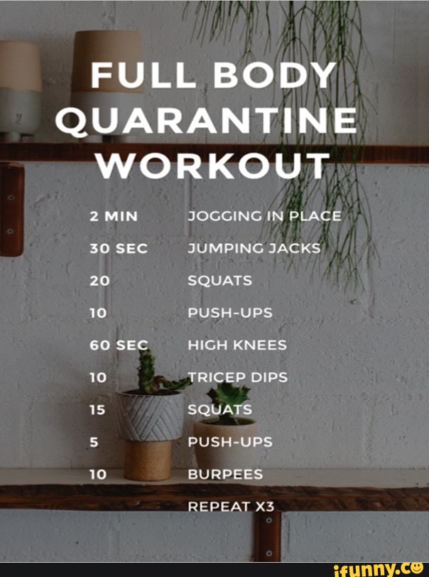 Full body quarantine workout - FULL BODY QUARANTINE WORKOUT 2 MIN 30 ...