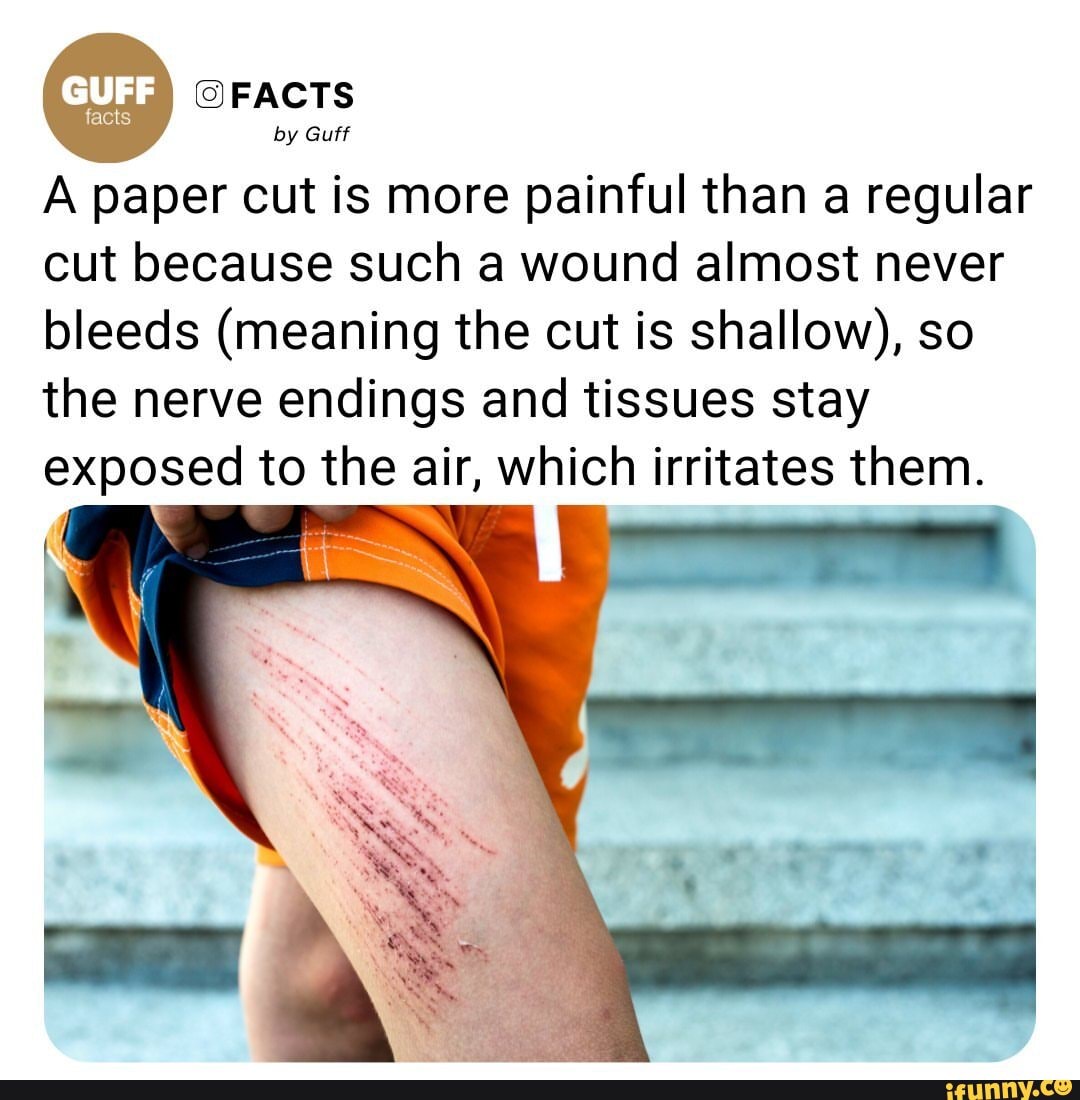 facts-by-guff-a-paper-cut-is-more-painful-than-a-regular-cut-because