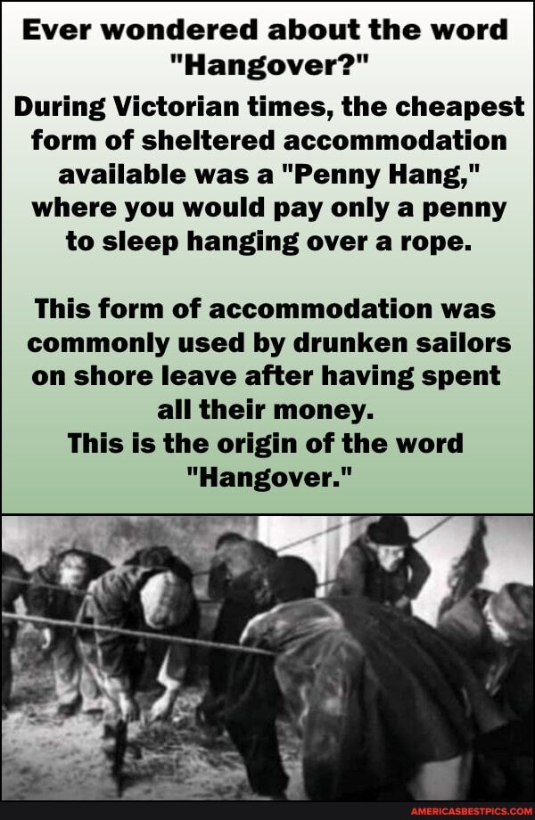 Ever wondered about the word
"Hangover?"
During Victorian times, the cheapest form of sheltered accommodation available was a "Penny Hang," where you would pay only a penny to sleep hanging over a rope.
This form of accommodation was commonly used by drunken sailors on shore leave after having spent all their money.
This is the origin of the word
"Hangover."