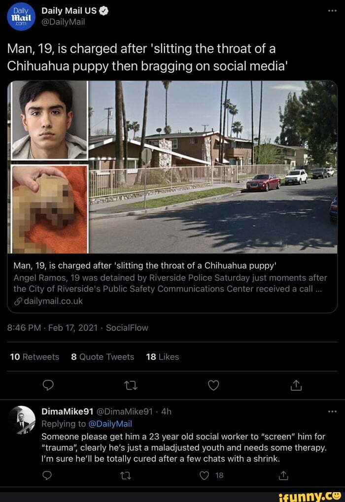 Daily Mail US
Man, 19, is charged after 'slitting the throat of a
Chihuahua puppy then bragging on social media'
Man, 19, is charged after 'slitting the throat of a Chihuahua puppy'
Angel Ramos, 19 was detained by Riverside Police Saturday just moments after the City of Riverside's Public Safety Communications Center received a call
dailymail.co.uk
PM Feb 17, 2021 - SocialFlow
Quote
DimaMike91 @DimaMike91
Replying to @De
Someone please get him a 23 year old social worker to "screen" him for
"trauma", clearly he's just a maladjusted youth and needs some therapy.
I'm sure he'll be totally cured after a few chats with a shrink.
va QO 2