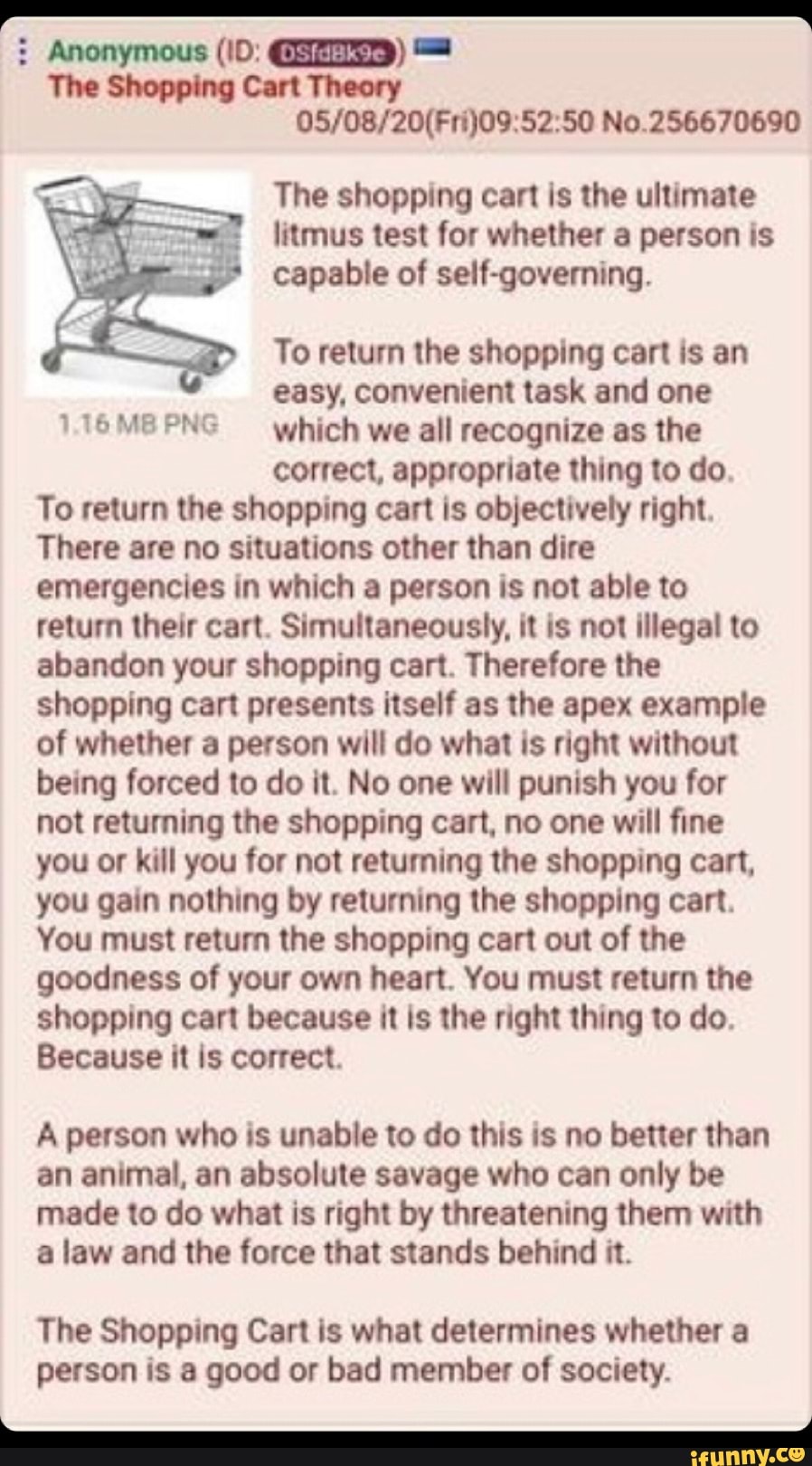 Theory 05/08/20(Fri)095250 No.256670690 The shopping cart is the