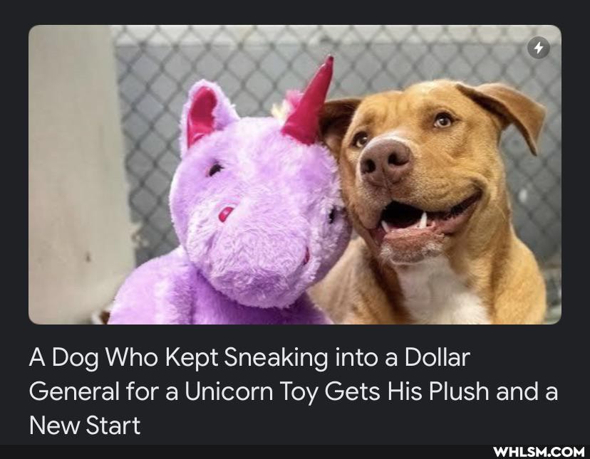 A Dog Who Kept Sneaking into a Dollar
General for a Unicorn Toy Gets His Plush and a
Stare