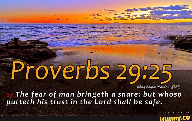 -Proverbs 29 The fear of man bringeth a snare: but whoso putteth his ...