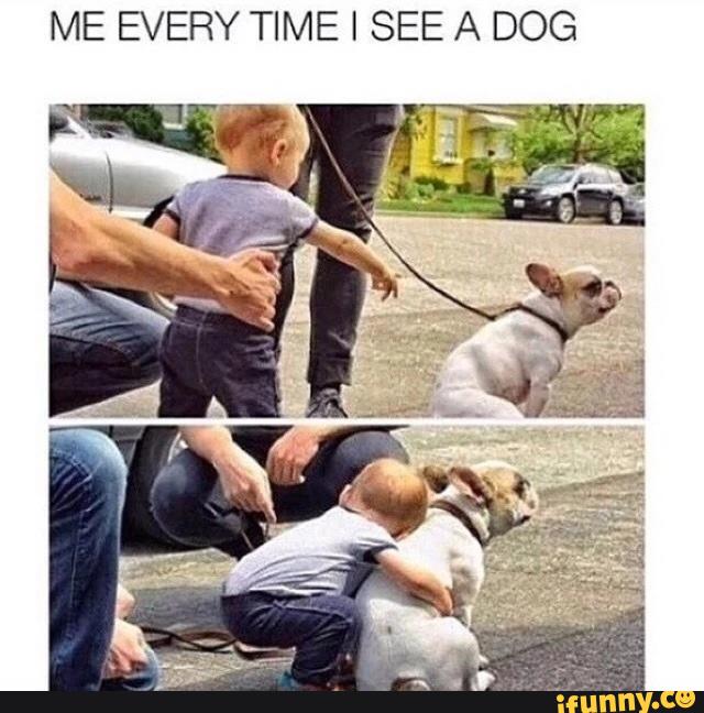 ME EVERY TIME [ SEE A DOG