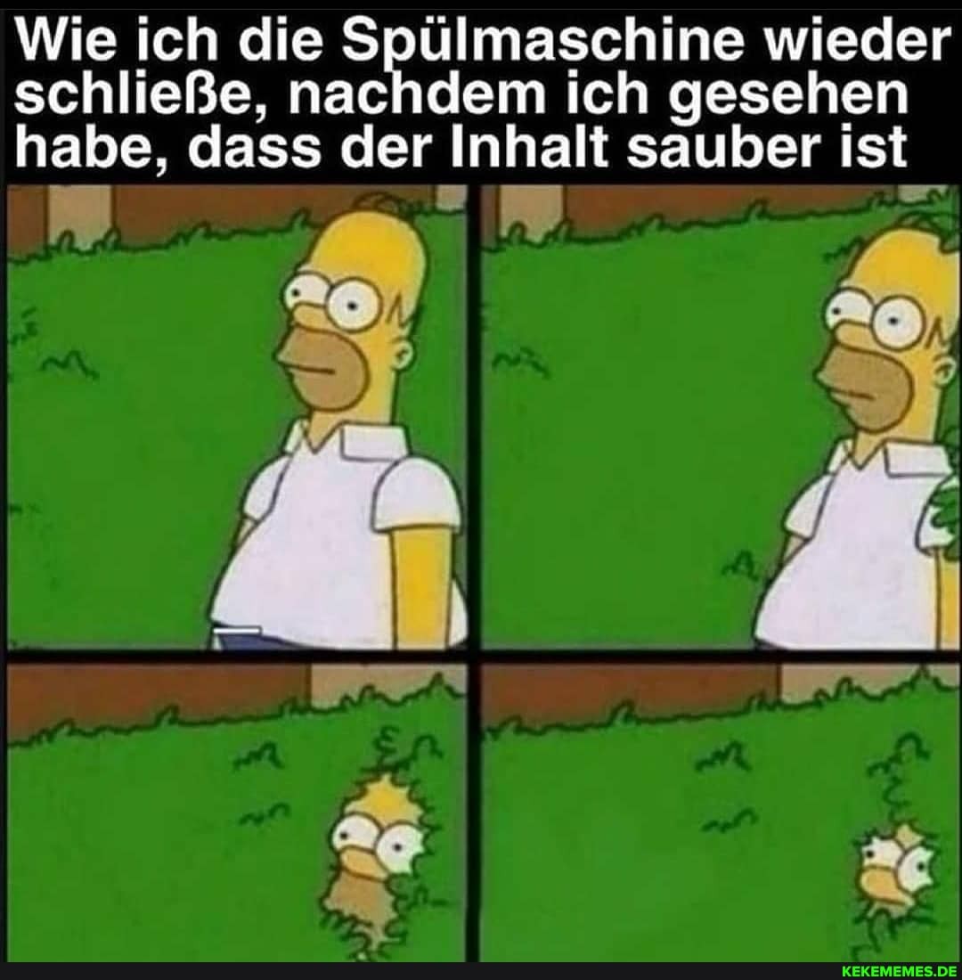 Wie ich die Spülmaschine wieder schließe, nachdem ich gesehen habe, dass der Inhalt sauber ist