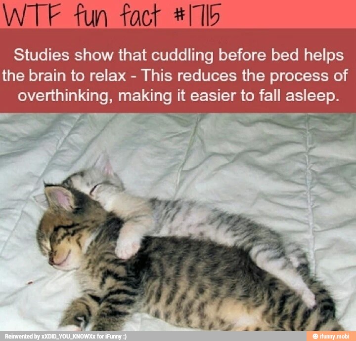 WTF fun fact #1 1b
Studies show that cuddling before bed helps
the brain to relax
This reduces the process of
overthinking, making it easier to fall asleep.