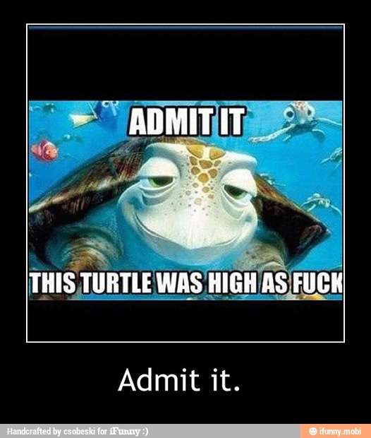 THIS TURTLE WAS
HIGH AS FUCK
Admit it. - Admit it.