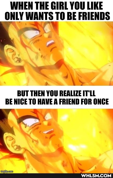 WHEN THE GIRL YOU LIKE ONLY WANTS TO BE FRIENDS
BUT THEN YOU REALIZE IT'LL BE NICE TO HAVE A FRIEND FOR ONCE