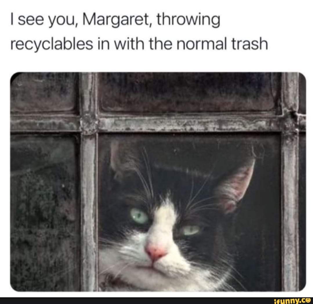 Tsk Tsk Margaret!! 😹😹😹😹😹😹😹😹 - I see you, Margaret, throwing recyclables ...