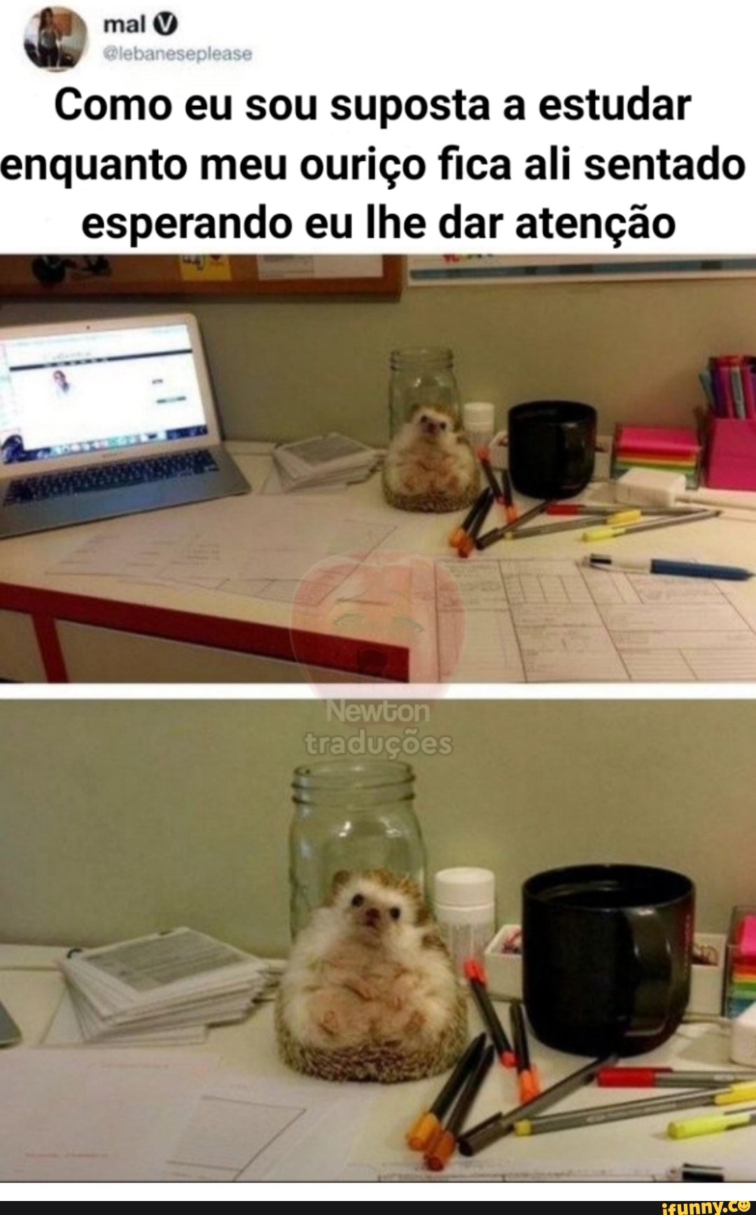 mai O
Como eu sou suposta a estudar enquanto meu ouriço fica ali sentado esperando eu lhe dar atenção