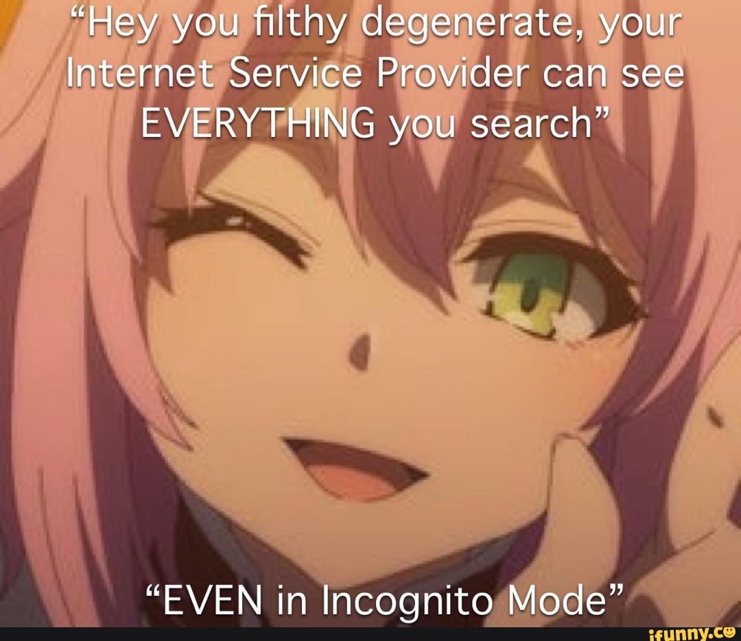 "Hey you filthy degenerate, your
Internet Service Provider can see
EVERYTHING you search"
"EVEN in Incognito Mode"