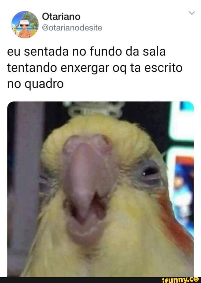 q
@otarianodesite
eu sentada no fundo da sala
tentando enxergar oq ta escrito
no quadro