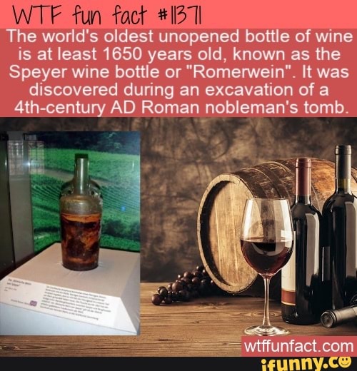 WTF fun fact The world's oldest unopened bottle of wine is at least