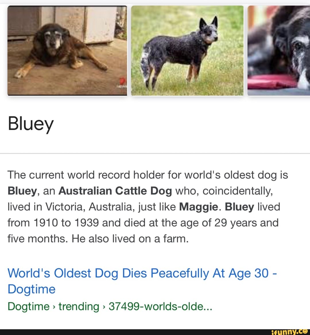 Current World Record Holder