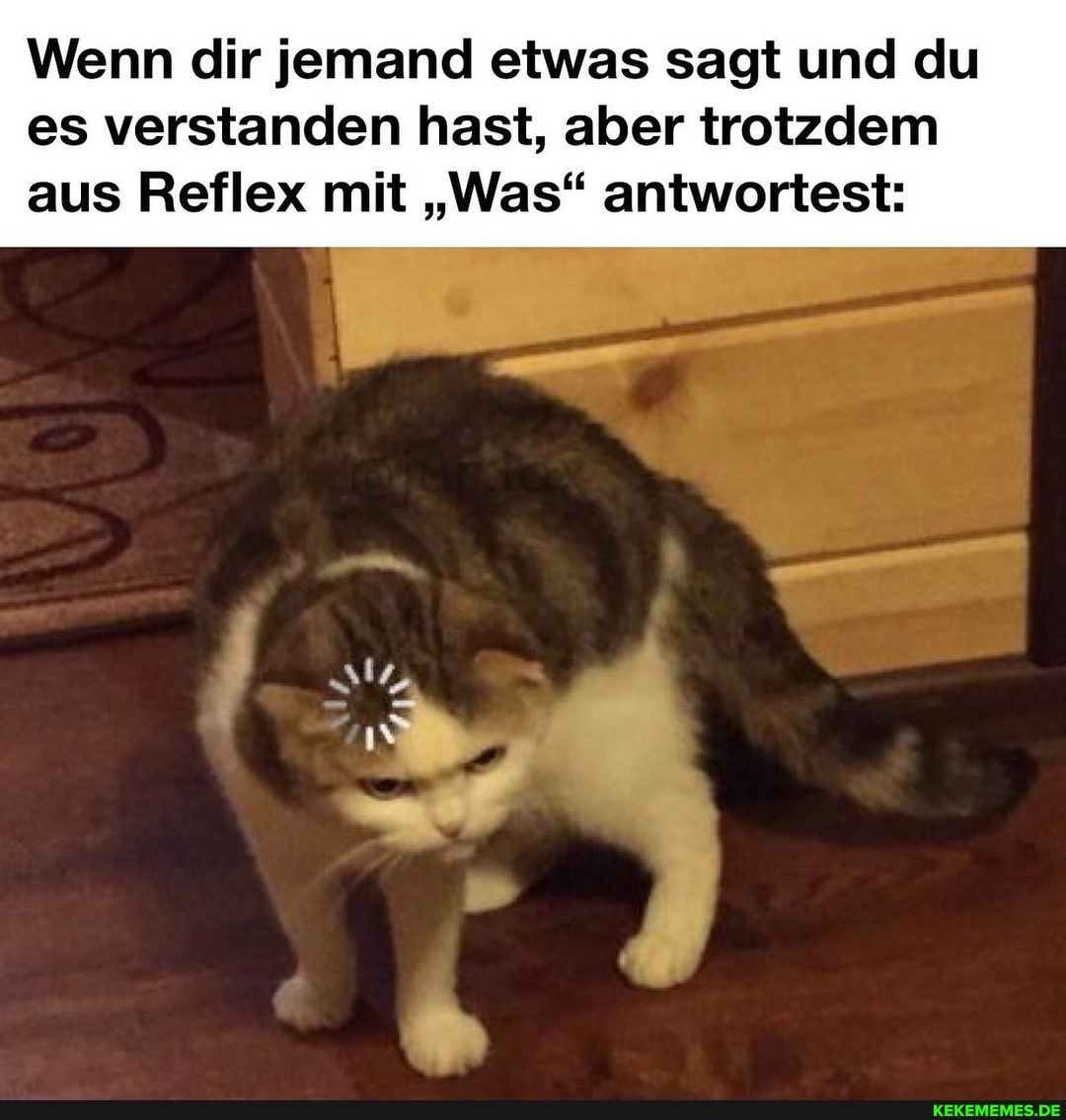 Wenn dir jemand etwas sagt und du
es verstanden hast, aber trotzdem aus Reflex mit "Was" antwortest: