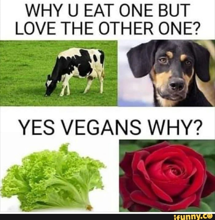 WHY U EAT ONE BUT