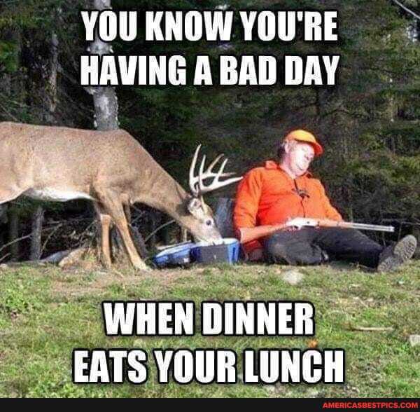 YOU KNOW YOU'RE HAVING A BAD DAY
WHEN DINNER EATS YOUR LUNCH