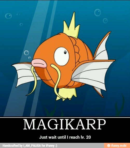 MAGIKARP
ntil I reach Iv. - Just wait until I reach lv. 20