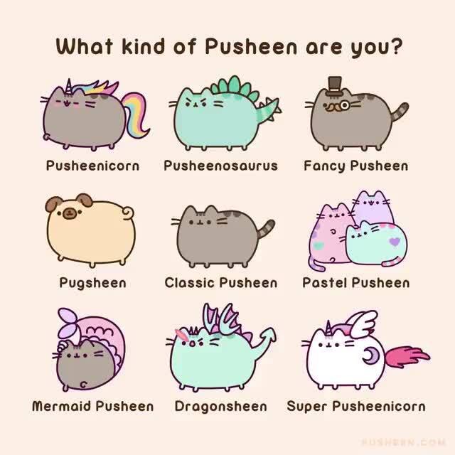 What kind of Pusheen are you? Pusheenicorn Pusheenosaurus Fancy Pusheen ...