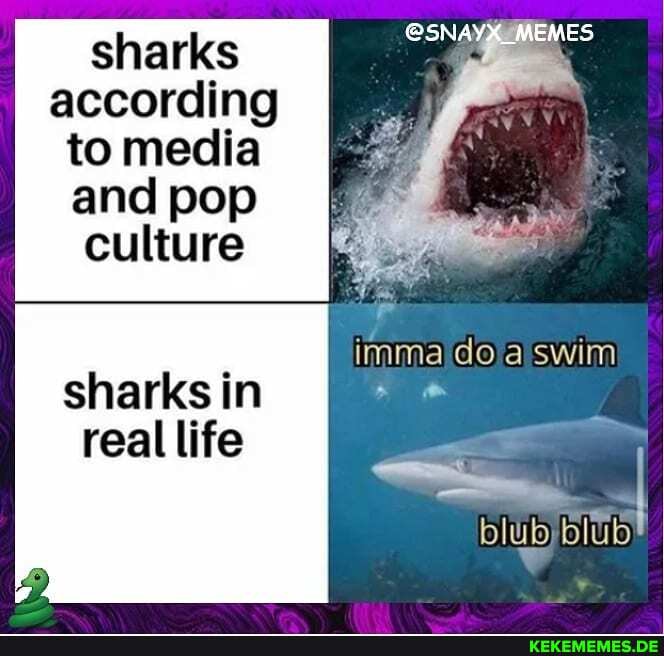 sharks according to media and pop culture MEMES imma do swim sharks in real life