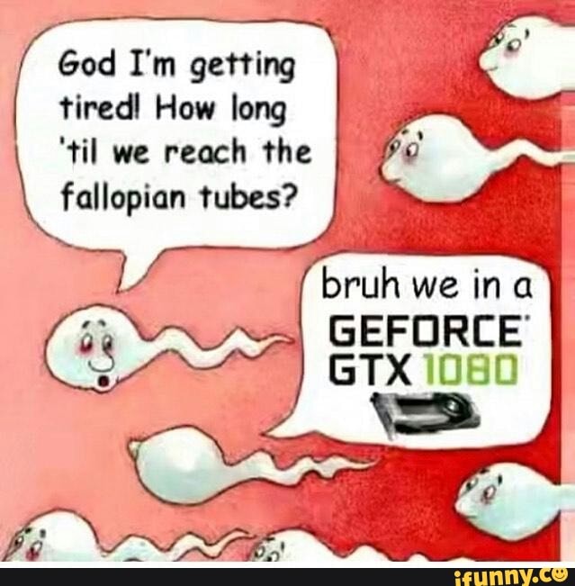 Gtx1080 memes. Best Collection of funny Gtx1080 pictures on iFunny
