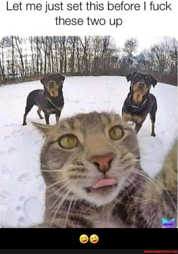 Let me just set this before I fuck these two up - đŸ¤£đŸ¤£