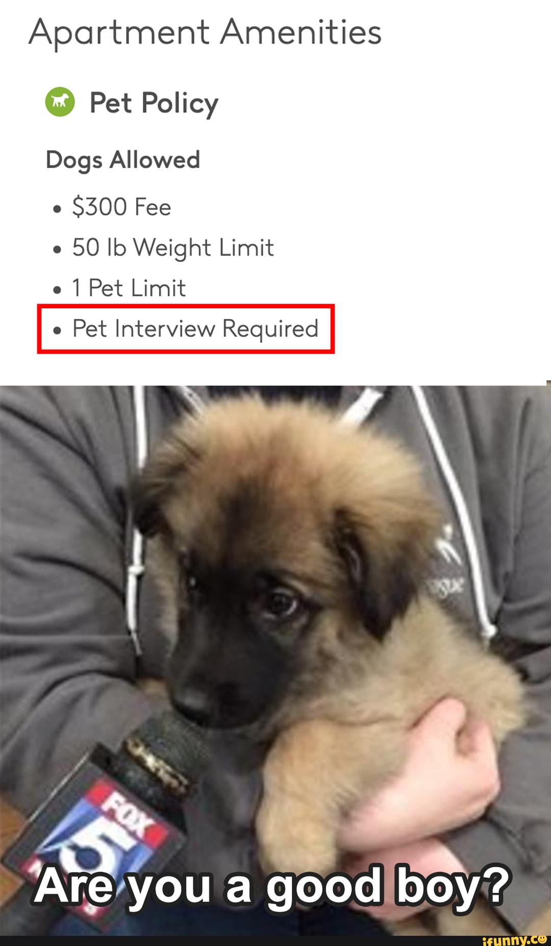 Apartment Amenities
Pet Policy
Dogs Allowed
$300 Fee
e 50 Ib Weight Limit e 1 Pet Limit
e Pet Interview Required
revyyou a good boy?