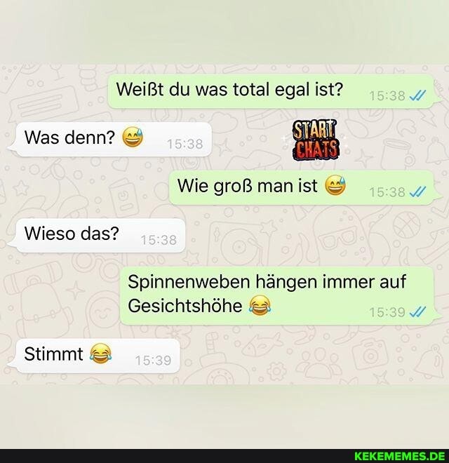 Weißt du was total egal ist?
Was denn? &
Wie groß man ist
Wieso das?
Spinnenweben hängen immer auf
Gesichtshöhe &
Stimmt