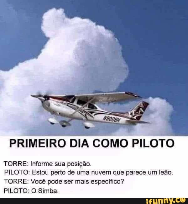 PRIMEIRO DIA COMO
PILOTO
TORRE: Informe sua posição.
PILOTO; Estou perto de uma nuvem que parece um leão.
TORRE: Você pode ser mais especifico?
PILOTO: O Simba.