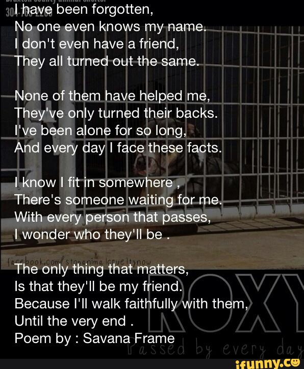 I have been forgotten,
No one even knows my name.
I don't even have a friend,
They all turned out the same.
None of them have helped me,
They've only turned their backs.
I've been alone for so long,
And every day [ face these facts.
I know I fit in somewhere
,
There's someone waiting for me.
With every person that passes,
I wonder who they'll be
.
The only thing that matters,
Is that they'll be my friend.
Because l'II walk faithfully with them,
Until the very end
.
Poem by : Savana Frame